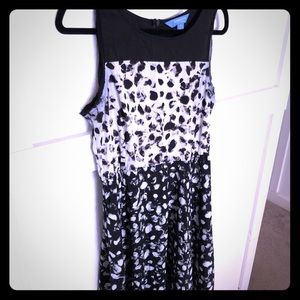 Vera Wang Simply Vera Dress